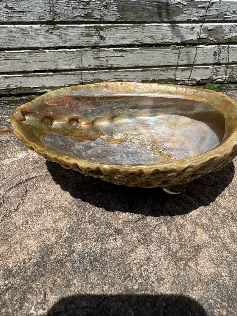 Large Iridescent Abalone Shell Footed Dish